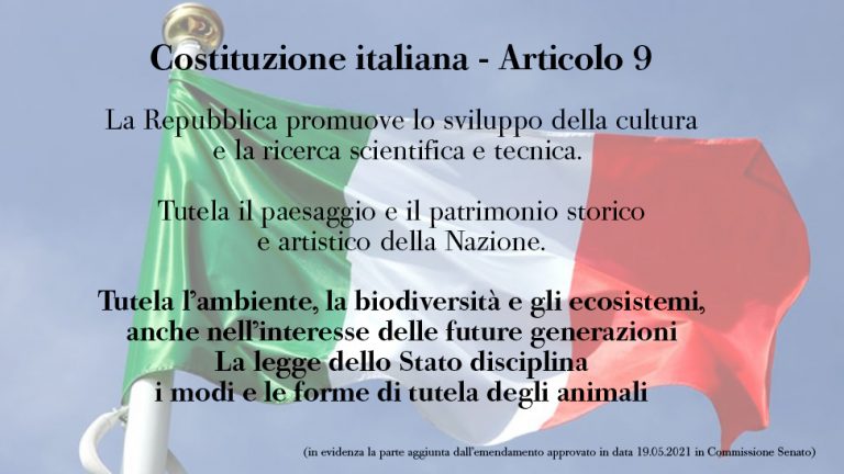 Tutela costituzionale dell’Ambiente e dovere al buon andamento della P.A.